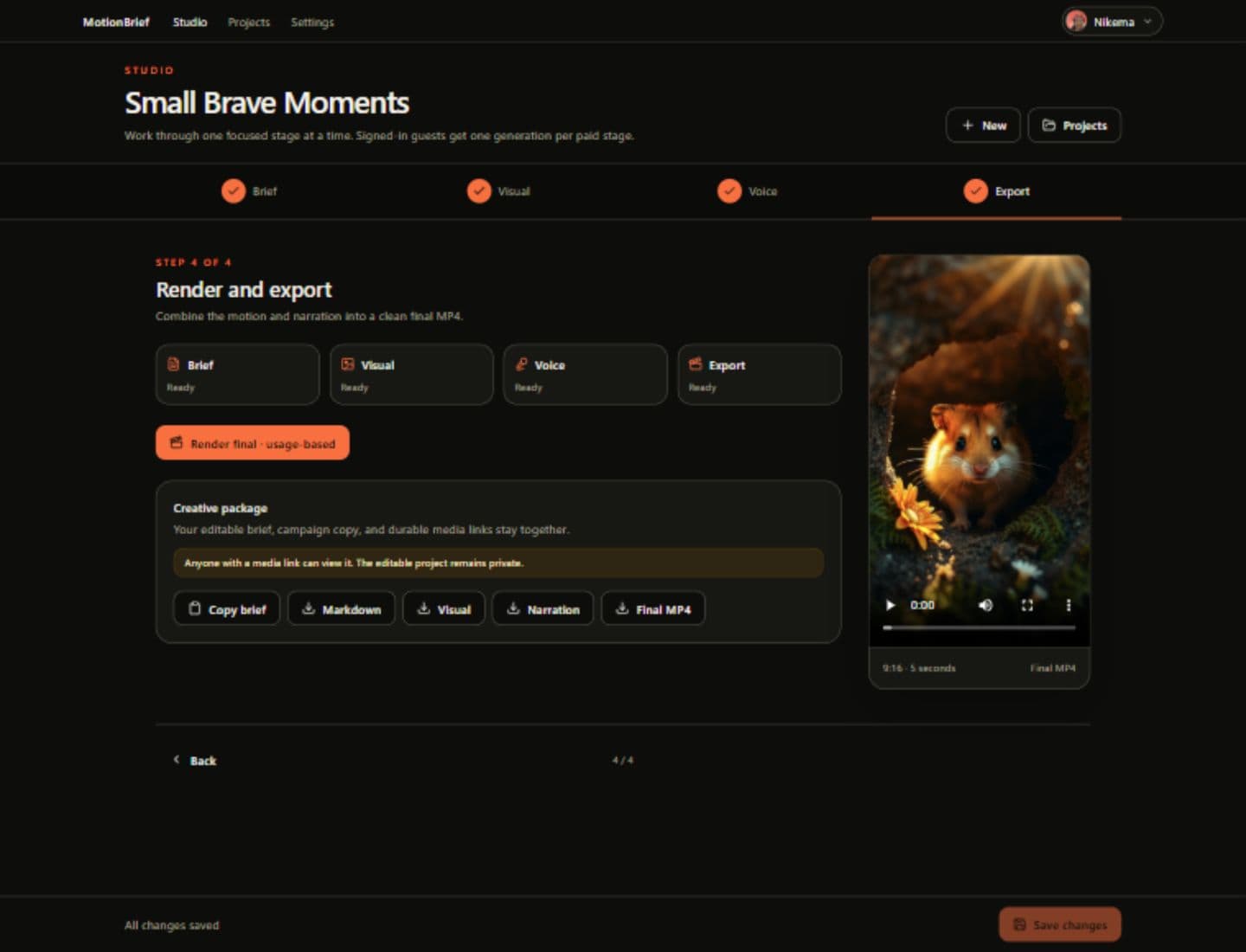 Step four showing media download links, the existing hamster video paused in the final MP4 player, and the pinned Save changes bar.